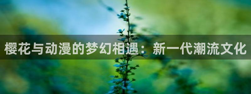 漫蛙2manwa2在线观看：樱花与动漫的梦幻相遇：新一代潮流文化