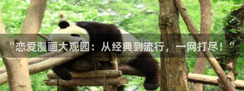 漫蛙2漫画免费下载：“恋爱漫画大观园：从经典到流行，一网打尽！”