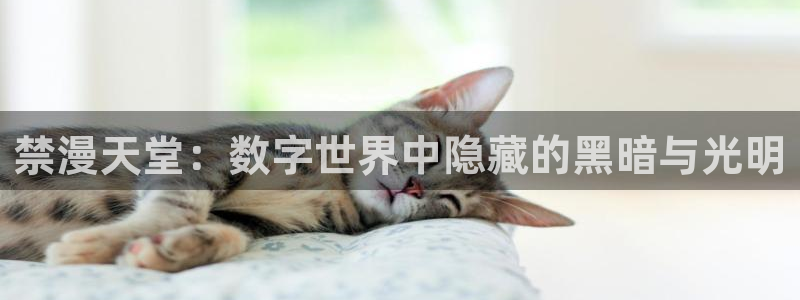 漫蛙com官网版：禁漫天堂：数字世界中隐藏的黑暗与光明