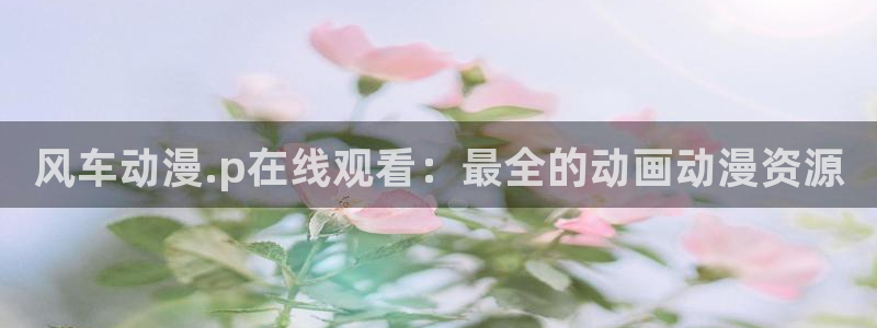 漫蛙漫画 下载：风车动漫.p在线观看：最全的动画动漫资源