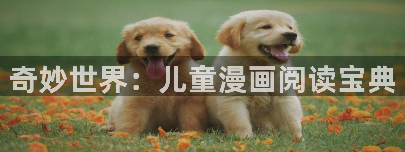漫蛙枯萎之花上的眼泪：奇妙世界：儿童漫画阅读宝典