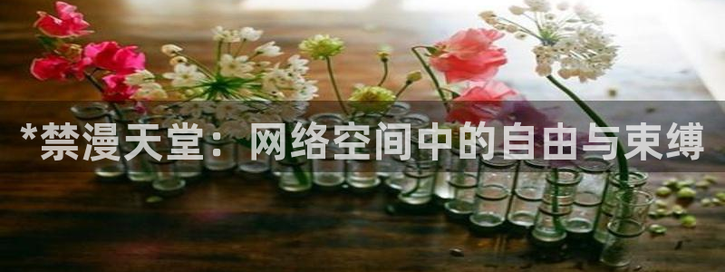 下漫蛙2：*禁漫天堂：网络空间中的自由与束缚