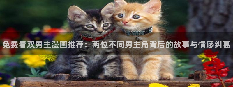 如何下载漫蛙：免费看双男主漫画推荐：两位不同男主角背后的故事与情感纠葛