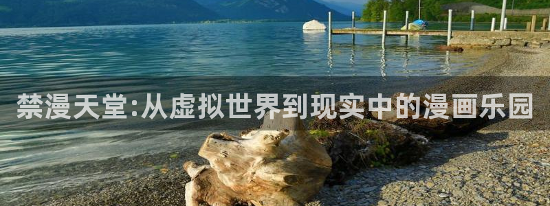 漫蛙登陆：禁漫天堂:从虚拟世界到现实中的漫画乐园