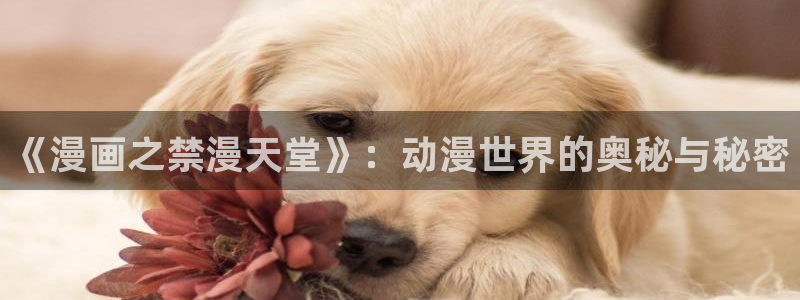 漫蛙漫画(网页入口)_漫蛙manwa官网版_：《漫画之禁漫天堂》：动漫世界的奥秘与秘密