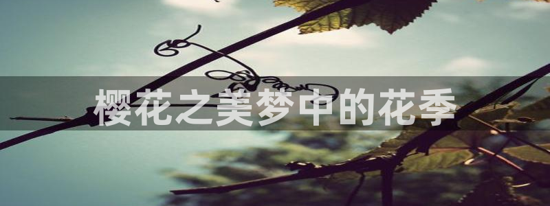 漫蛙2正版网站：樱花之美梦中的花季